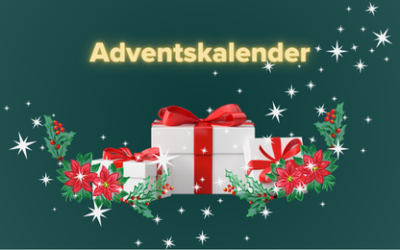 🎄Adventskalender 2024🎄