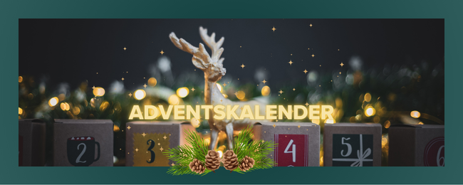 🎄Adventskalender 2026🎄
